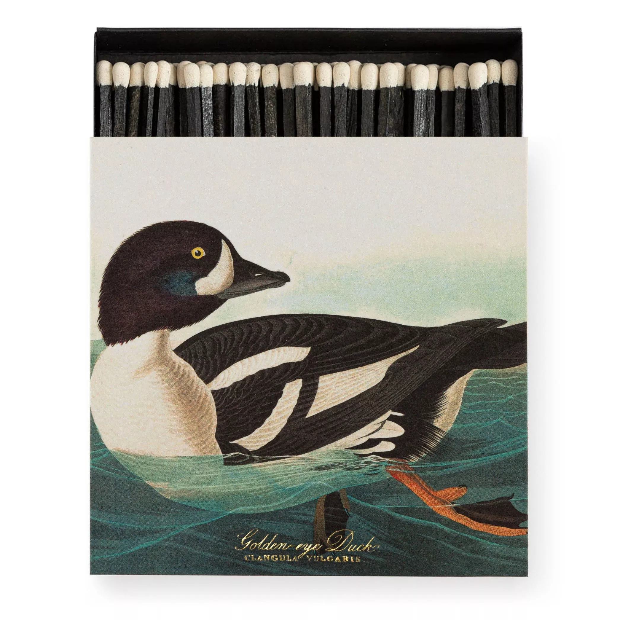 Allumettes The Golden Eye Duck