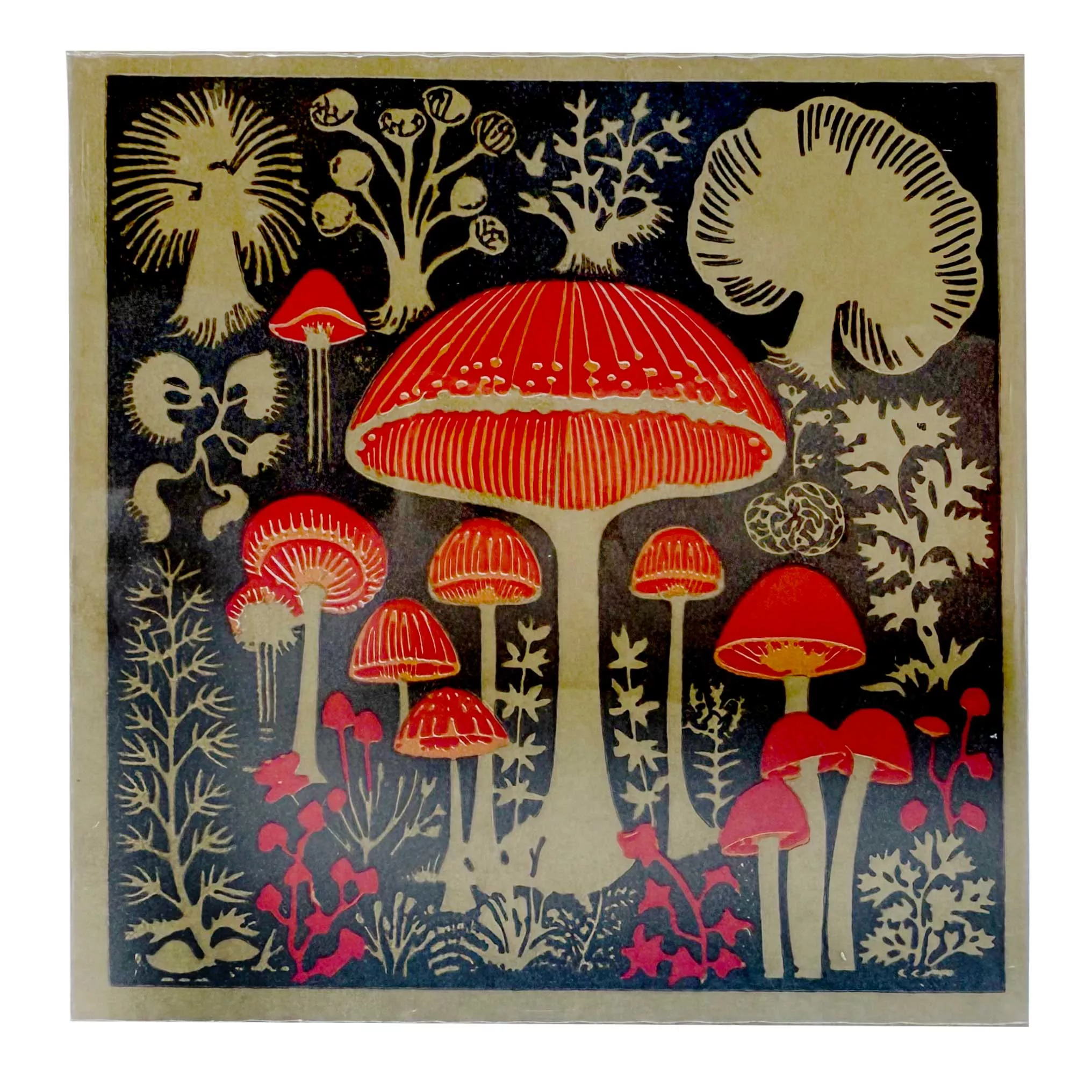 Allumettes Mushrooms