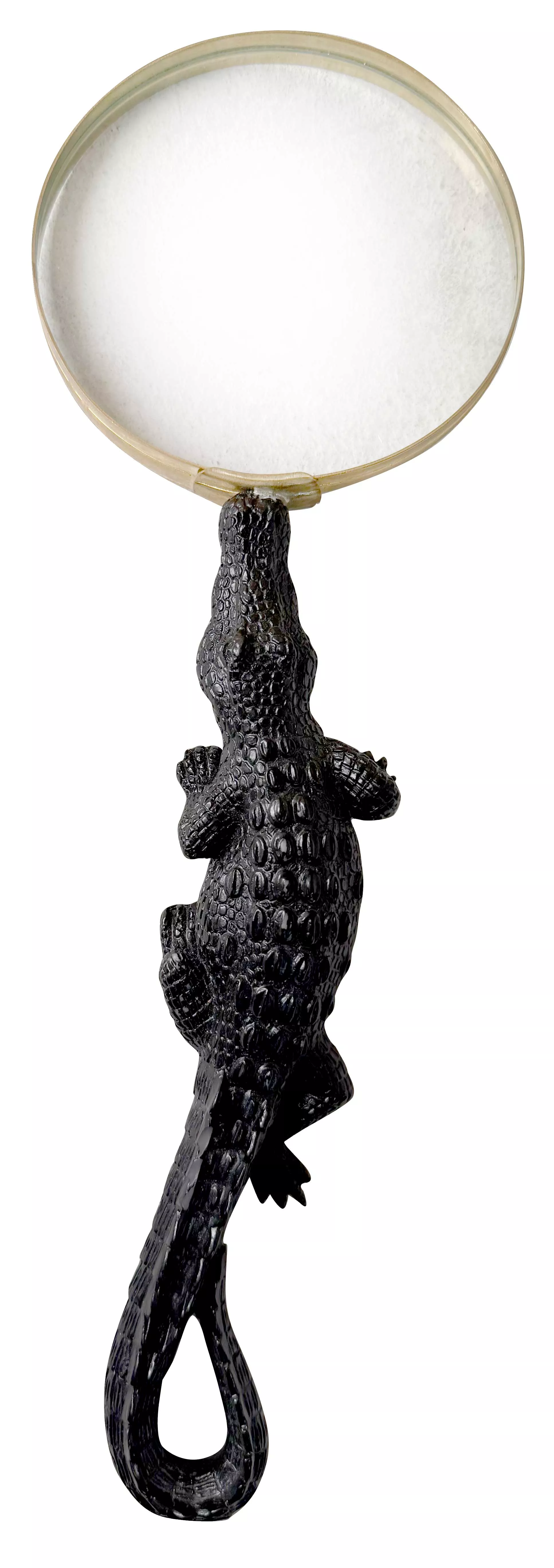 Loupe Crocodile