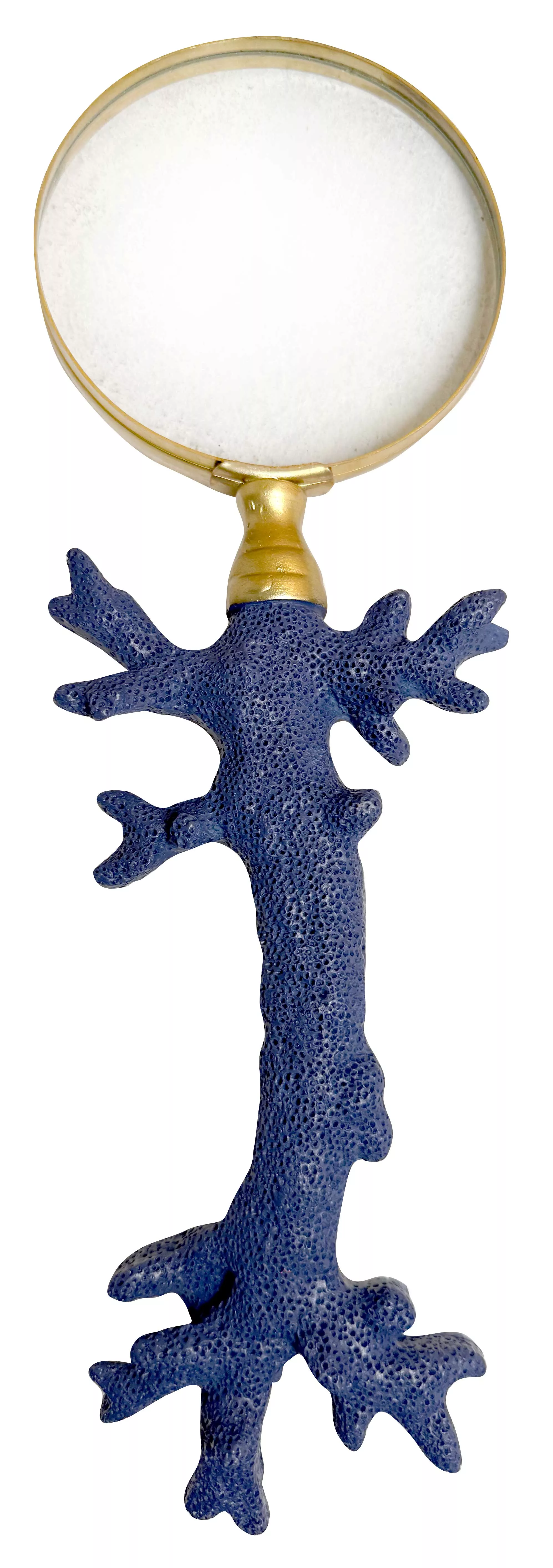 Loupe Manche Corail Bleu 31CM