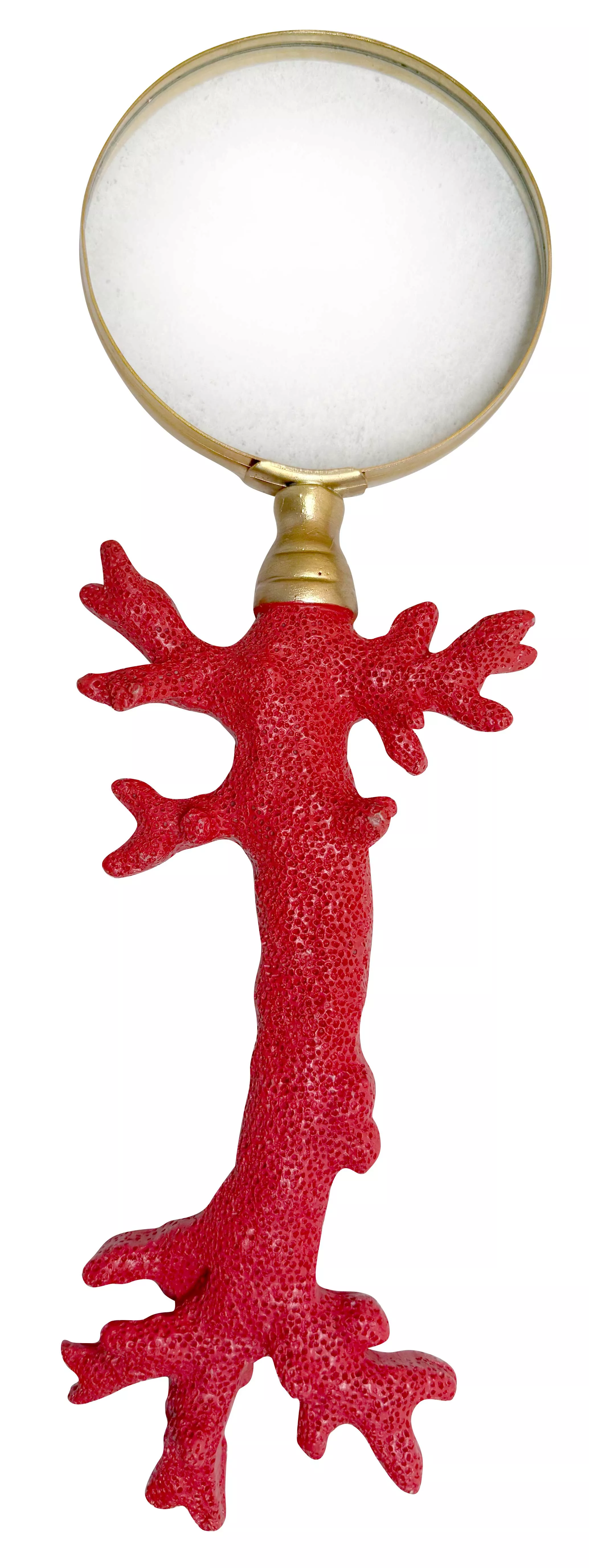 Loupe Manche Corail Orange 31CM