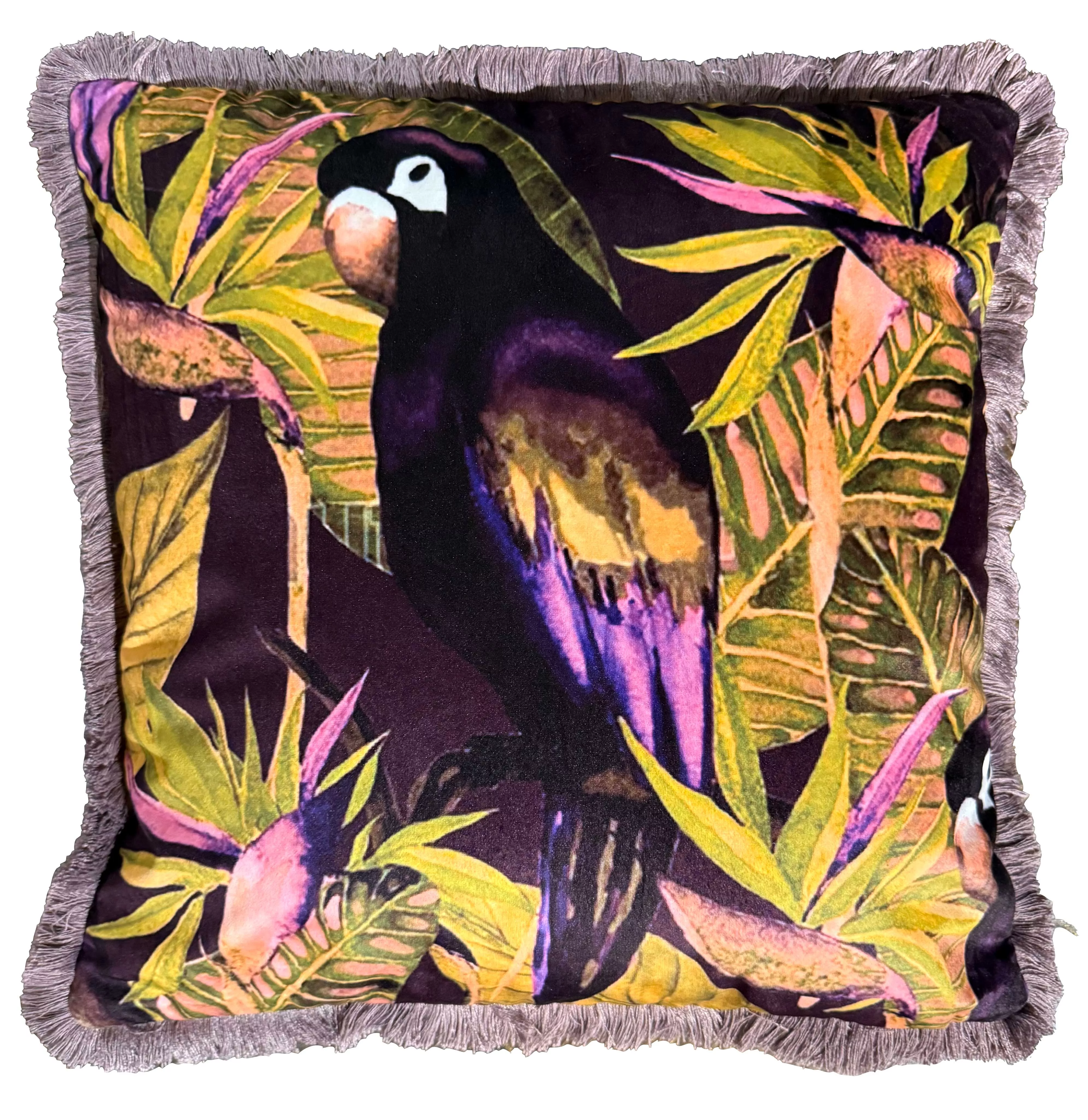 Black and purple parrot cushion - Parrot Purple - 45x45