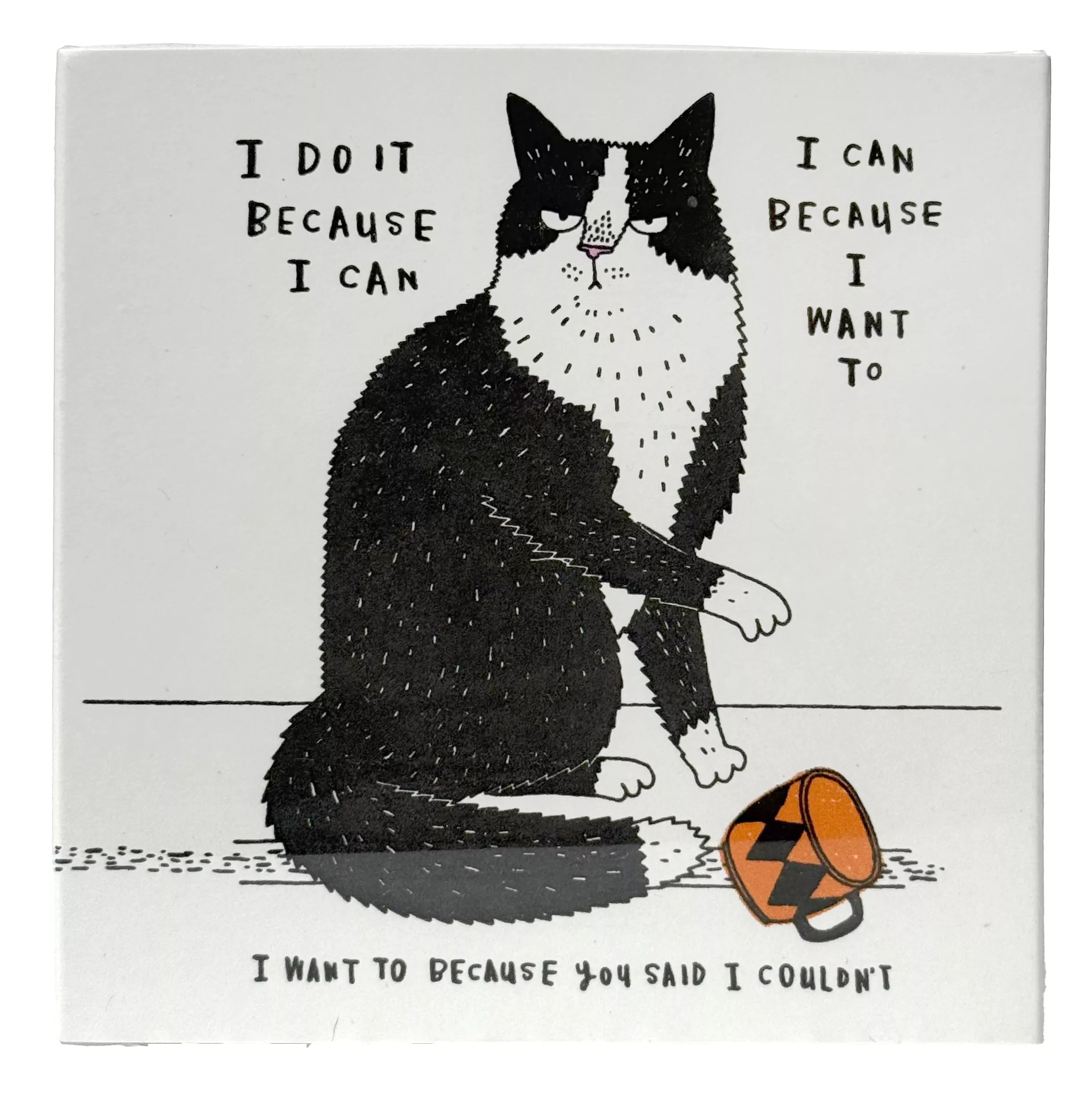 Boîte d'allumettes - I Do It Because I Can Show