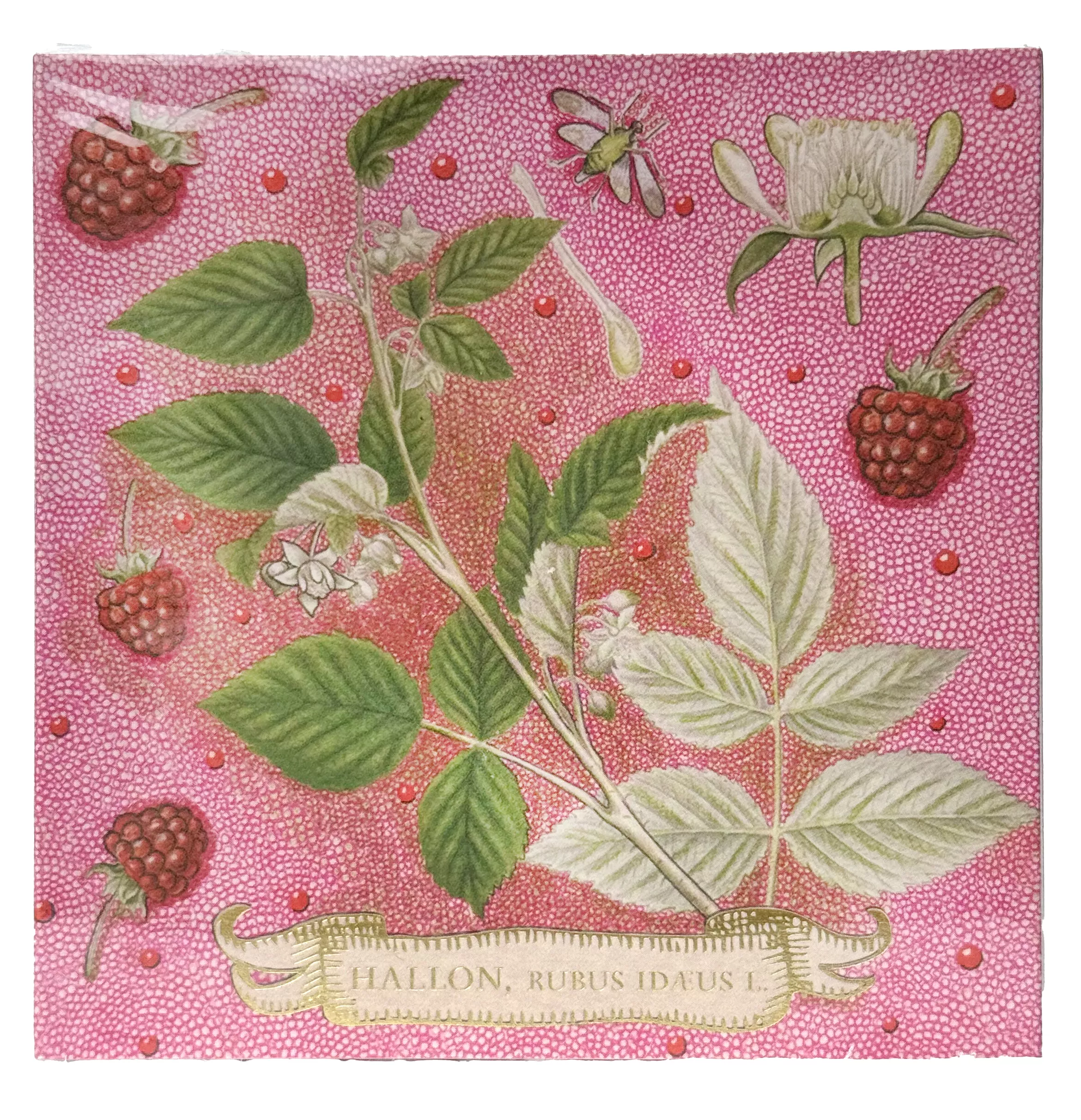 Boîte d'allumettes - Rose et Framboise